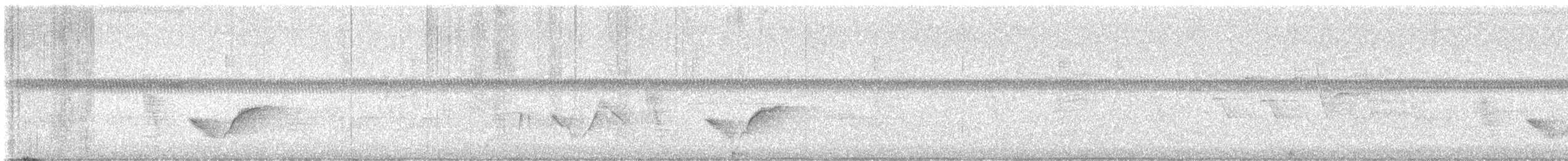 Weißaugenvireo - ML637406301