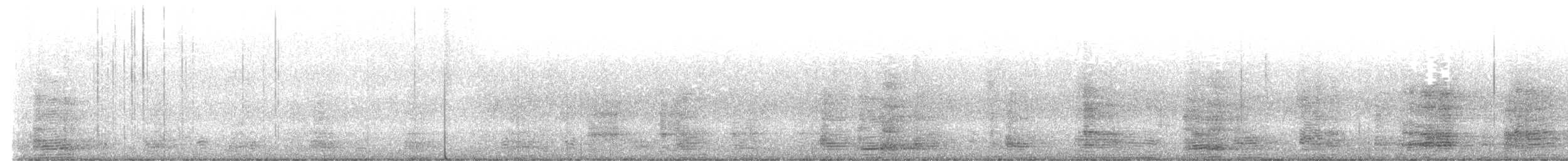 Australian Ibis - ML637406802