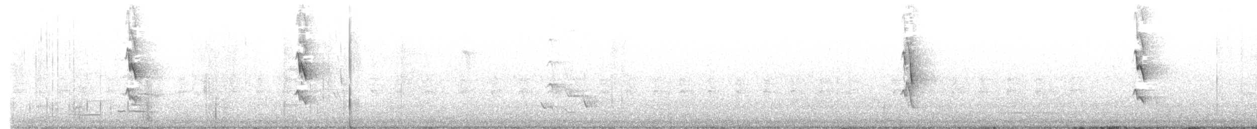 White-cheeked Honeyeater - ML637406821