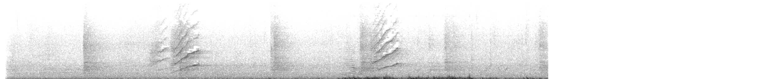 Méliphage à oreillons bleus - ML637406838