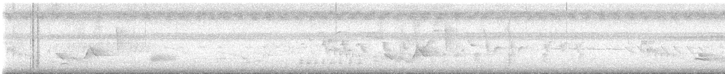 White-eyed Vireo - ML637407094