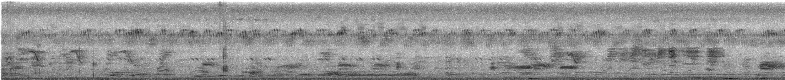 נחשון אסייתי - ML637407606
