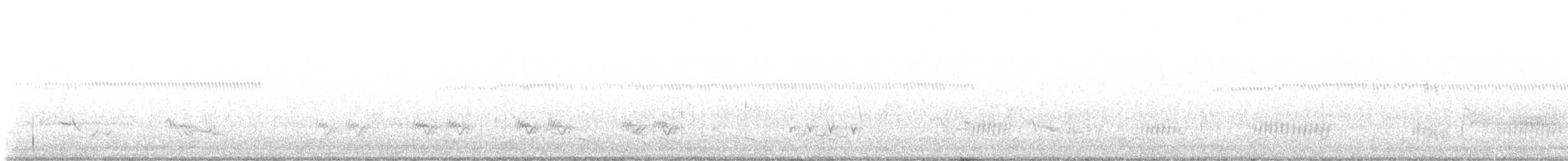 Northern Mockingbird - ML637409918