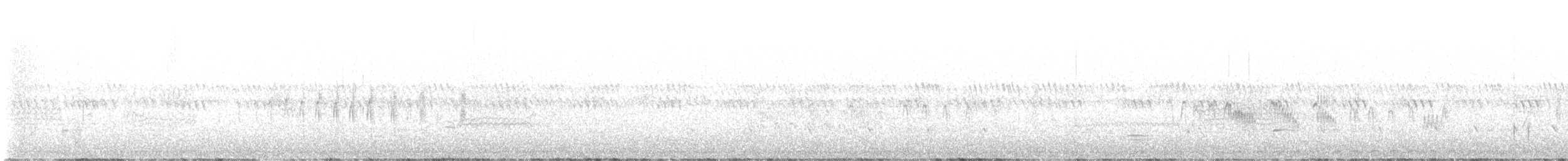 Wilson's Snipe - ML637412865