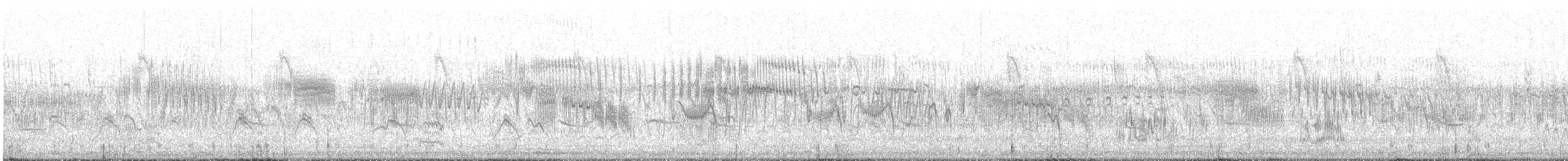 クロエリコウテンシ - ML637412915