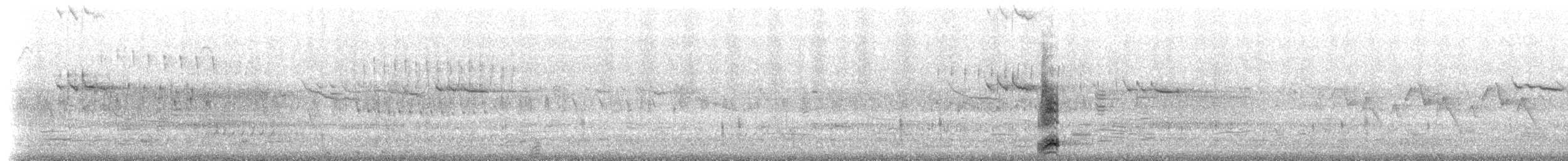 Black-crowned Night Heron - ML637413932