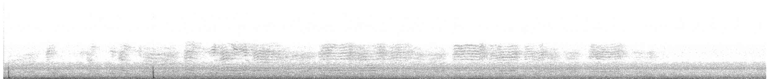 Pardela Cenicienta Atlántica - ML637414407