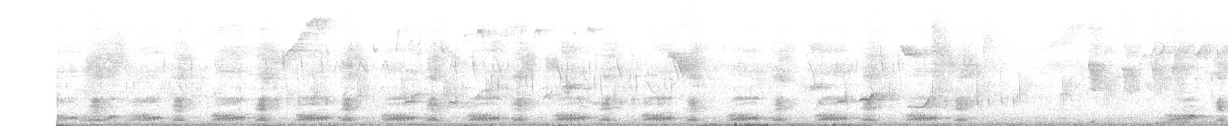 turako západoafrický - ML637414413