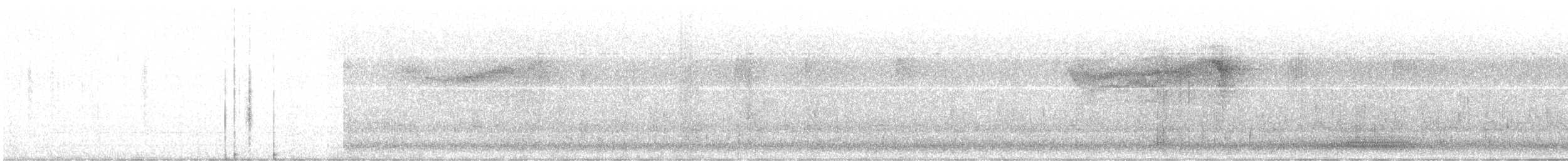 Barred Owl - ML637416371