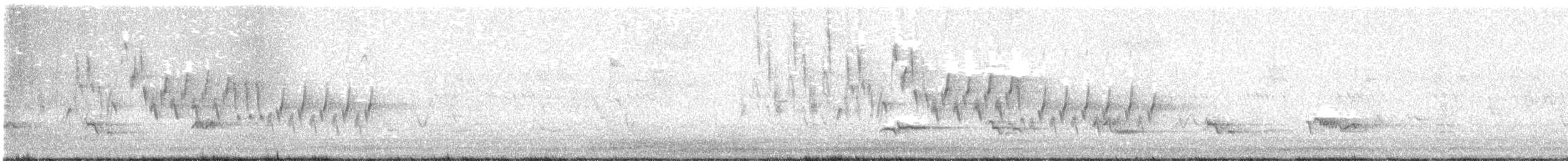 Northern House Wren - ML637416561