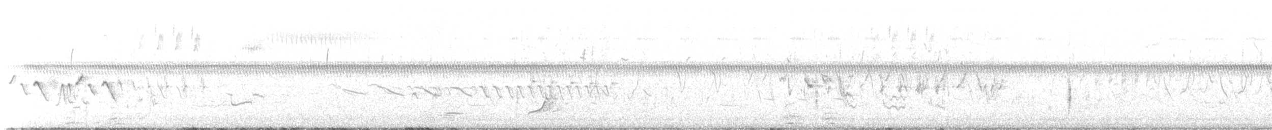 Colin de Virginie - ML637416810