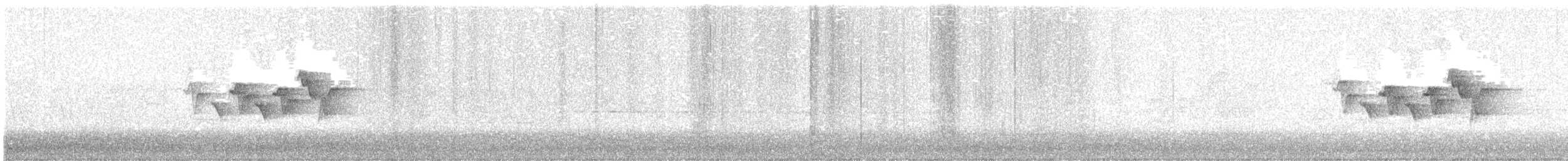 Magnolia Warbler - ML637416860