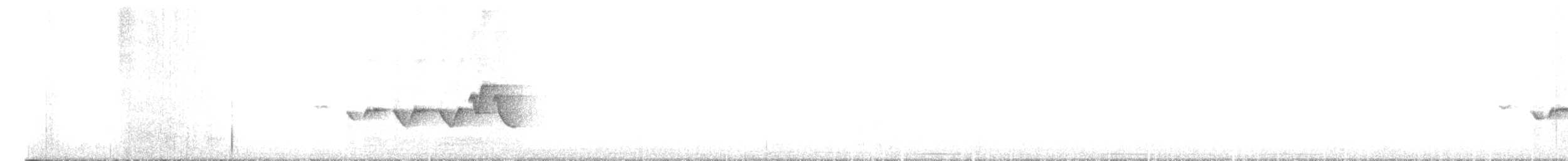 lesňáček kápový - ML637417892