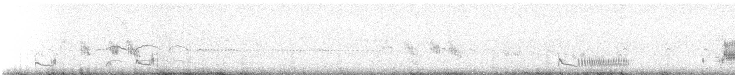 Snowy Plover - ML637418009