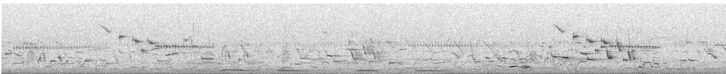 Baird's Sparrow - ML637418733