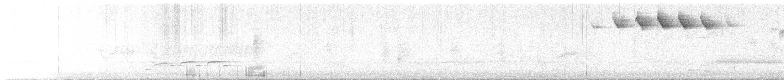 Blackpoll Warbler - ML637422204