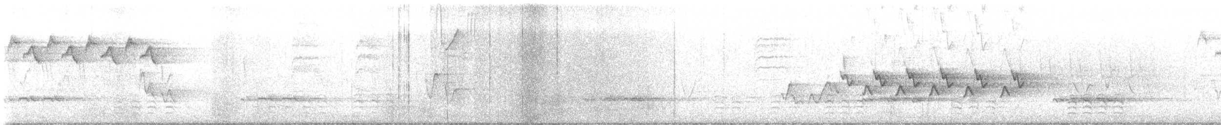 Каролинский поползень (carolinensis) - ML637422997