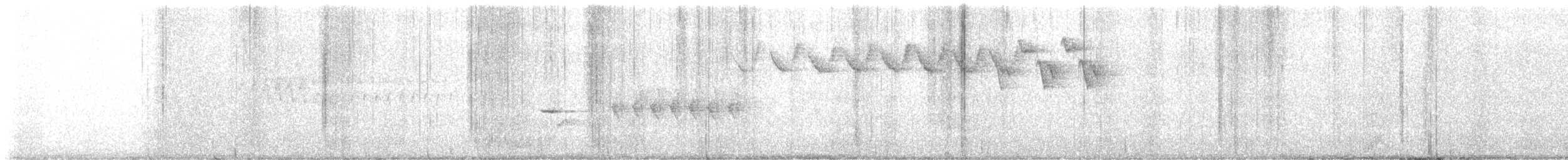 Black-and-white Warbler - ML637428767