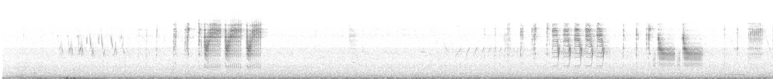Pampazaunkönig [elegans-Gruppe] - ML637429909