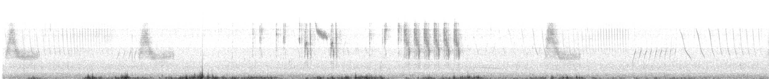 Pampazaunkönig [elegans-Gruppe] - ML637429910