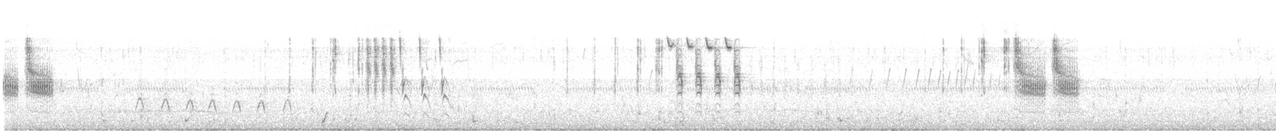 Pampazaunkönig [elegans-Gruppe] - ML637430325