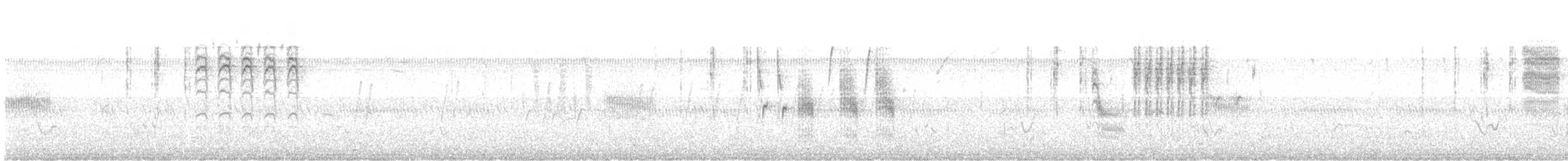 Pampazaunkönig [elegans-Gruppe] - ML637430326