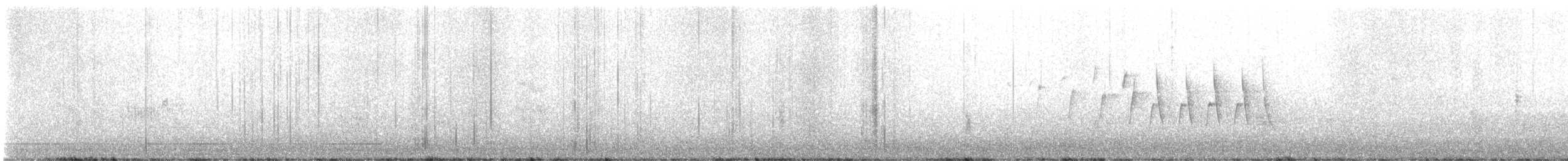 Northern Waterthrush - ML637430829