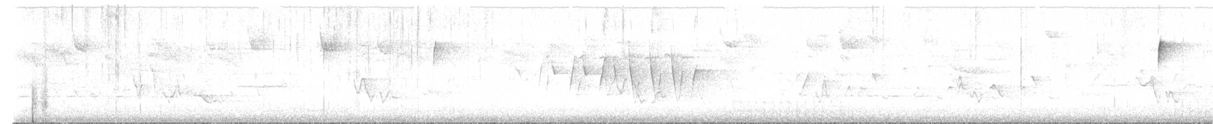 Northern Waterthrush - ML637430964