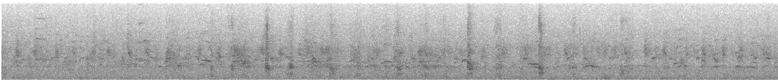 Western Cattle-Egret - ML637431228