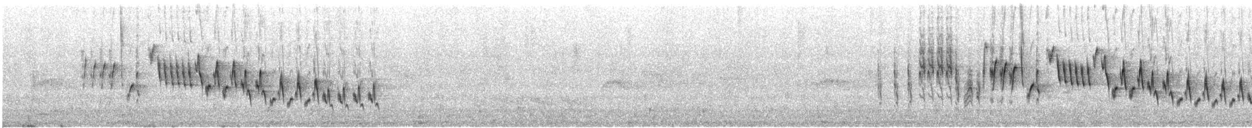 Northern House Wren (Northern) - ML637432023