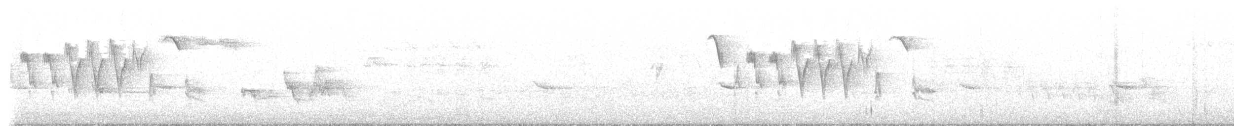 Iberian Chiffchaff - ML637432276