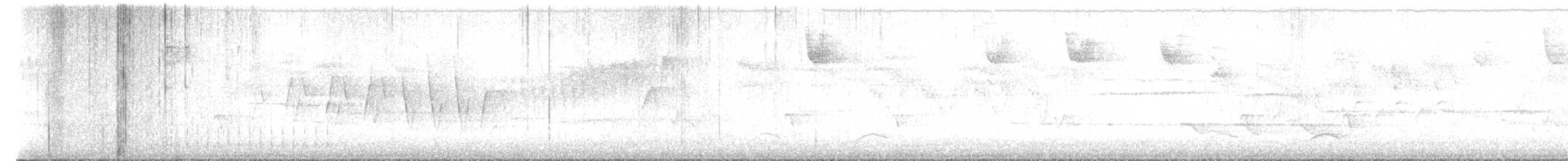 Northern Waterthrush - ML637432305