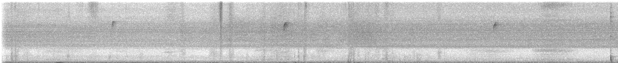 Red-tailed Hawk - ML637432836