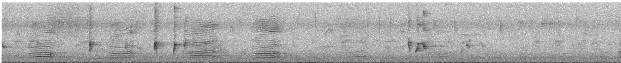 Australian Raven - ML637435447