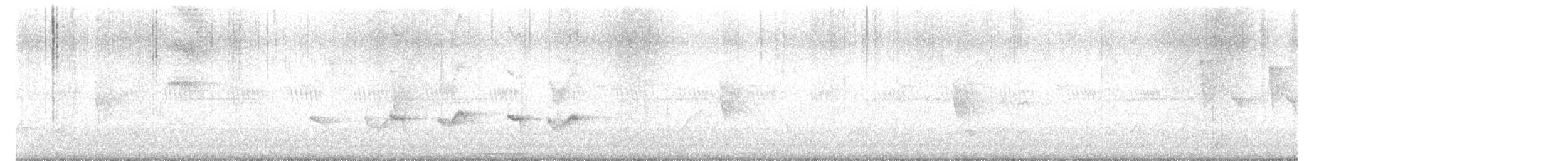 Ferruginous Antbird - ML637435890