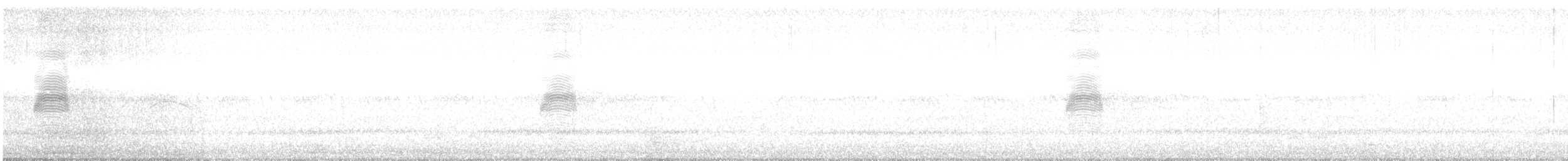 sluka americká - ML637438983