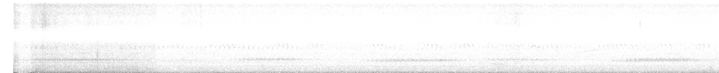 sluka americká - ML637438992