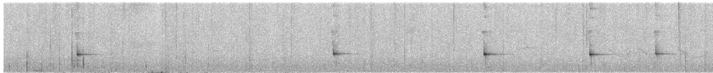 Slaty Bristlefront - ML637439523