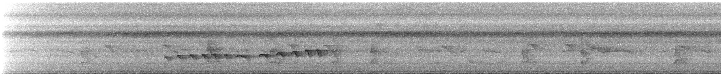 Dusky Antbird - ML637440750