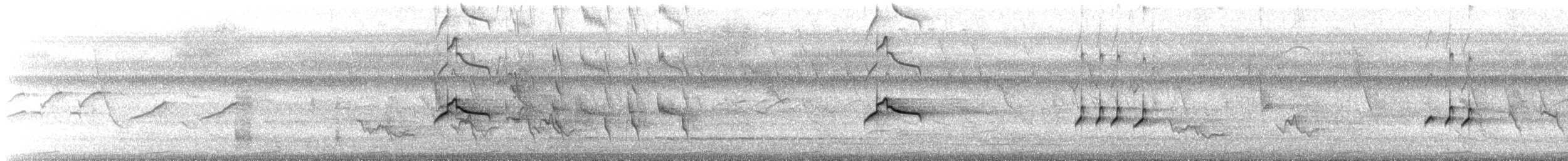 Piratic Flycatcher - ML637441145