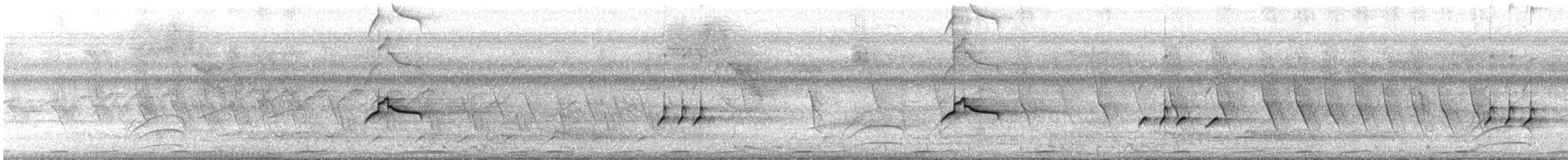 Piratic Flycatcher - ML637441146