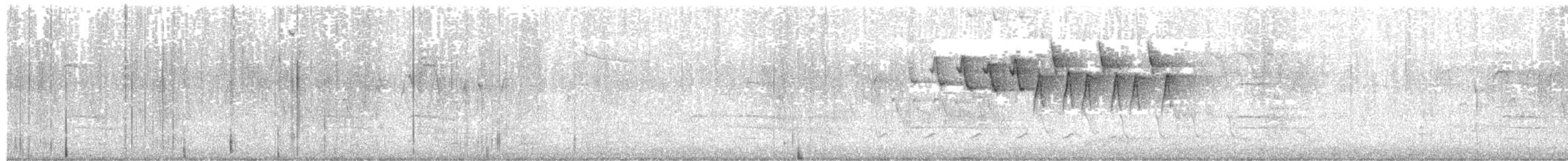 Nashville Warbler - ML637441266