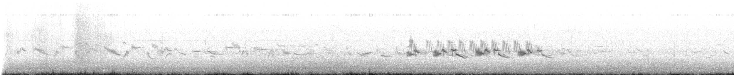 Arctic Warbler - ML637441292