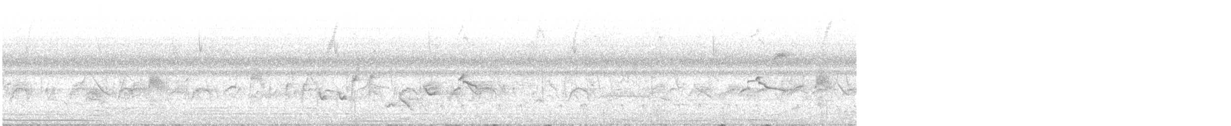 Piratic Flycatcher - ML637441810