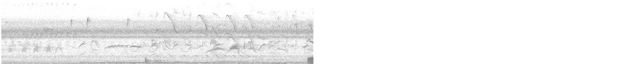 Bar-crested Antshrike - ML637441972