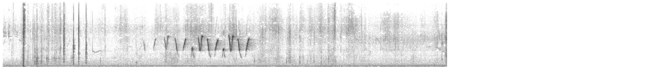 Connecticut Warbler - ML637441973