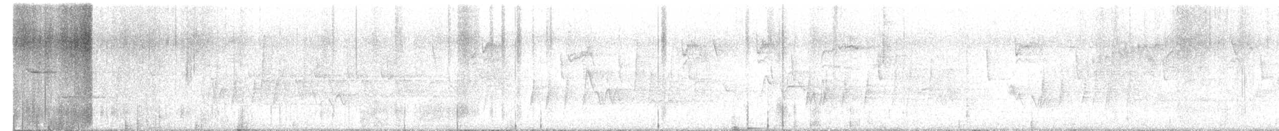 カロライナコガラ - ML637442234