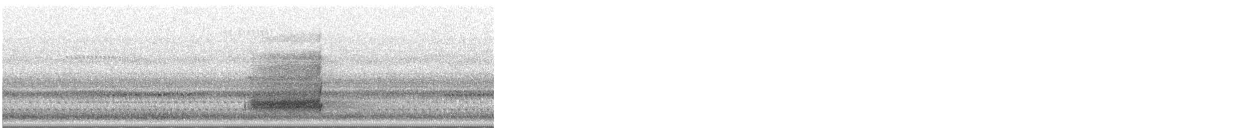 American Barn Owl - ML637442484