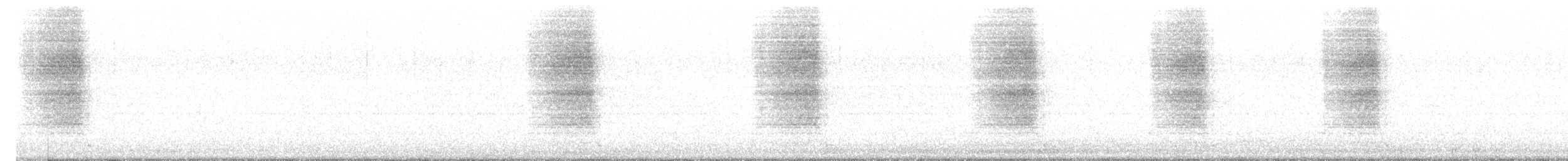 American Barn Owl - ML637443305