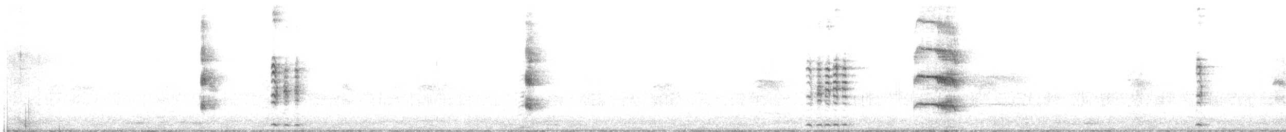 Australasian Grebe - ML637447626